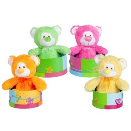 OSO COLORES EN CAJA DE REGALO