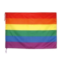 BANDERA FIESTA MULTICOLOR...