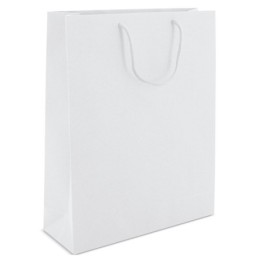 BOLSA DE CARTONCILLO ASA...