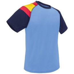CAMISETA BANDERA D&F AZ-RY...