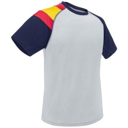 CAMISETA BANDERA D&F GR...