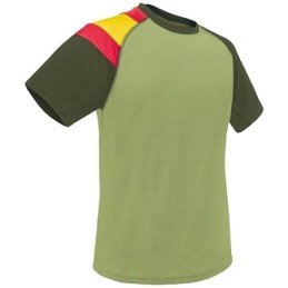 CAMISETA BANDERA D&F KA...
