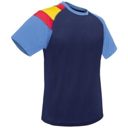 CAMISETA BANDERA D&F RY...