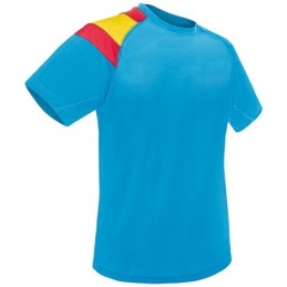 CAMISETA BANDERA DRY &...