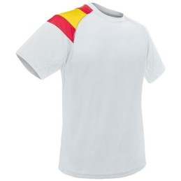 CAMISETA BANDERA DRY &...