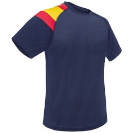 CAMISETA BANDERA DRY &...