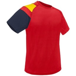 CAMISETA BANDERA DRY &...