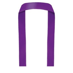 CINTA PULSERA POLIESTER 1,5...