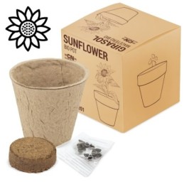 MACETA BIO GIRASOL "RAMILLETE"