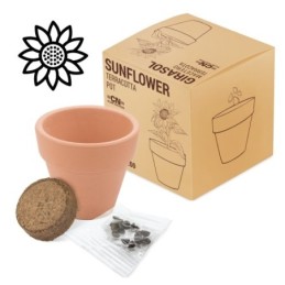 MACETA TERRACOTA GIRASOL...