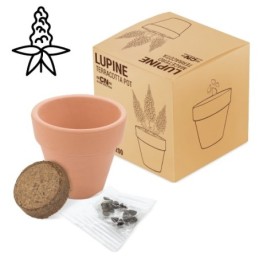 MACETA TERRACOTA LUPINE...