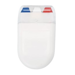 PINTABANDERAS FRANCIA "PLEM"